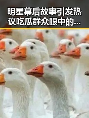 明星幕后故事引发热议吃瓜群众眼中的明星与可爱GIF动图引爆讨论