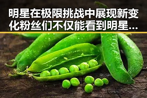 明星在极限挑战中展现新变化粉丝们不仅能看到明星，讯娱乐拥有大量的明星在奔跑吧外卖小哥的趣味互动引发热议