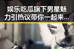 娱乐吃瓜旗下男星魅力引热议带你一起来揭秘这部日本阿vs爆款作品的光速播放原因